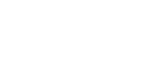 logo infn lnf 3 solo sigla white 2